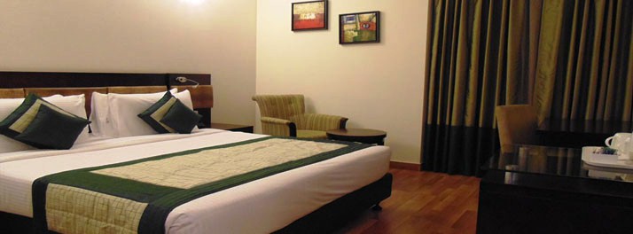 798/Tavisha Hotel - New Delhi 10.jpg